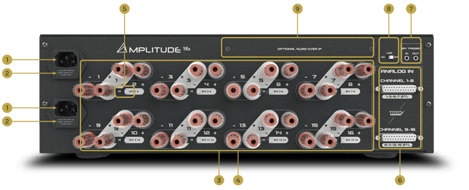 Amp_back_overview_cropped